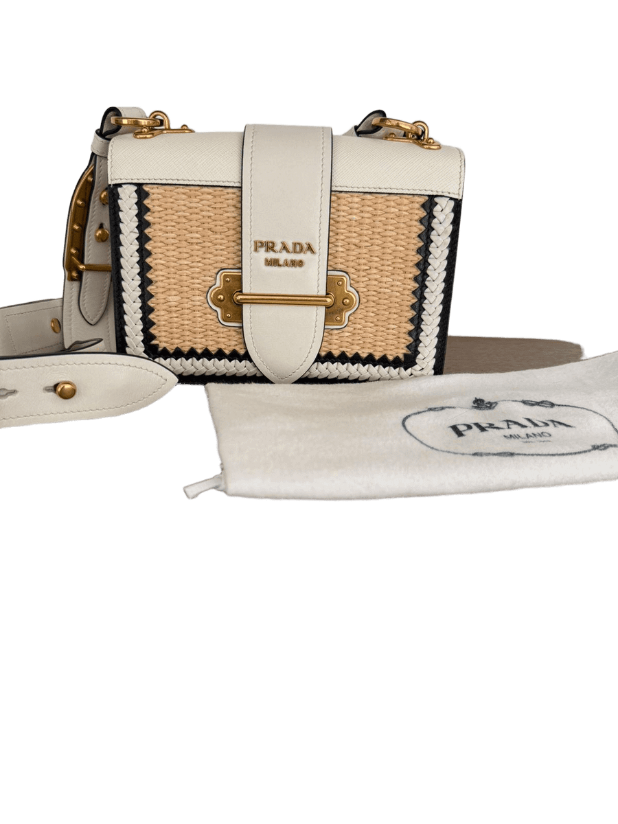 City Calf Raffia Saffiano Cahier Bag
